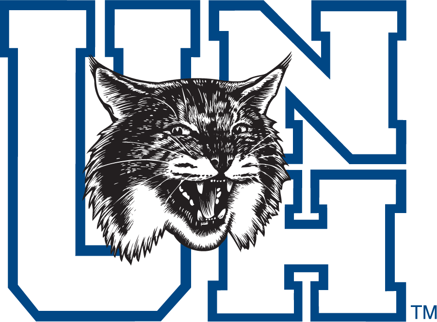 New Hampshire Wildcats 1993-2000 Alternate Logo diy DTF decal sticker